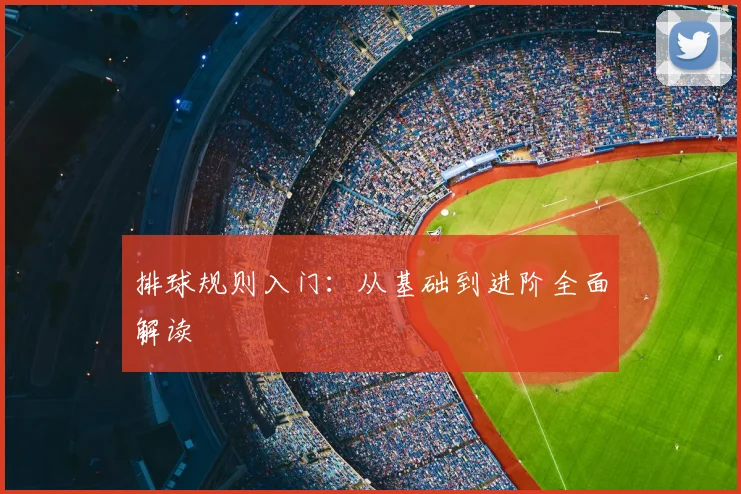 排球规则入门：从基础到进阶全面解读