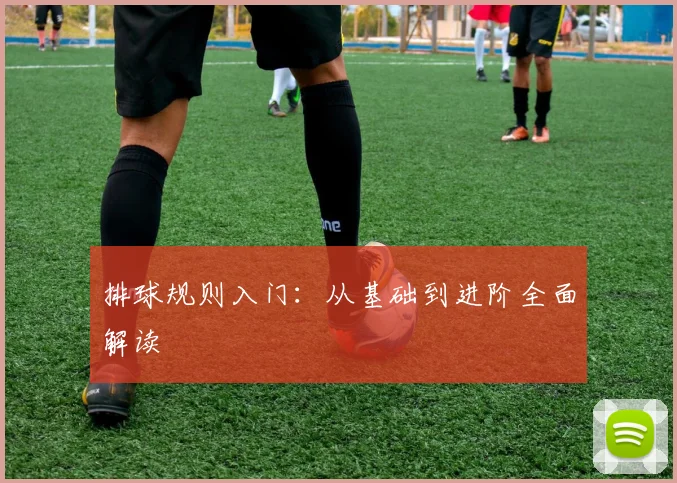 排球规则入门:从基础到进阶全面解读